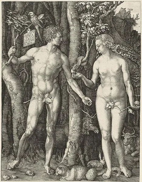 Albrecht Dürer is the most well renowned…