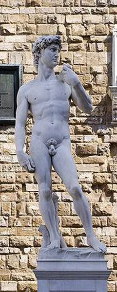 Massimo Catarinella: A copy of the statue standing in the original location of David, in front of the Palazzo Vecchio in Florence. (2009)
