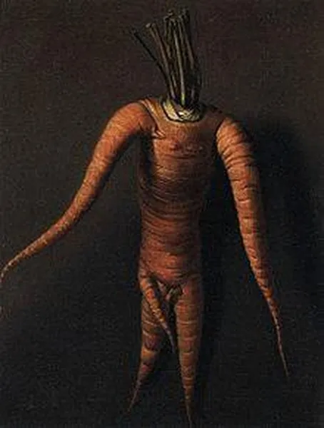 Willem van Royen – The Carrot (oil on canvas; 35 cm (13.8 in). Width: 26 cm (10.2 in); Märkisches Museum, Berlin)