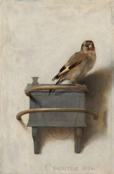 Carel Fabritius: The Goldfinch (1654), showing his use of cool color harmonies, delicate lighting effects, and a light background. Oil on panel, 33.5 × 22.8 cm (13.19 × 8.98 in), Royal Picture Gallery