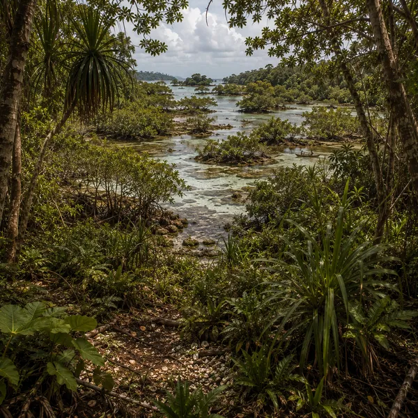 Andamanasia in the Late Holocene