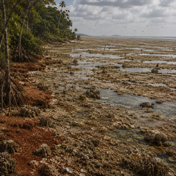 Andamanasia in the Upper Paleolithic