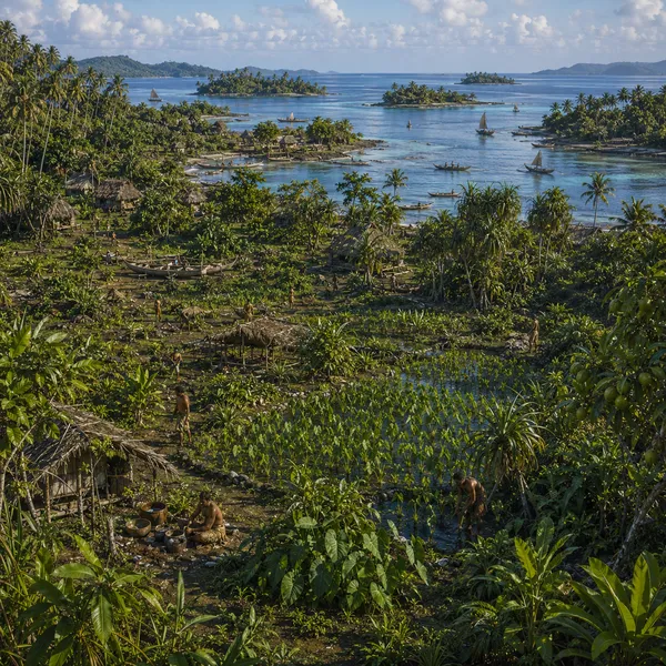 East Melanesia in Early Antiquty