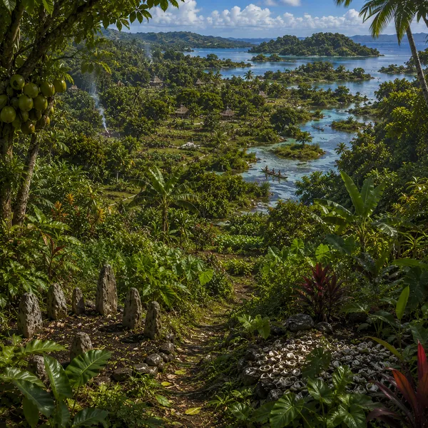 East Melanesia in the  Middle Holocene