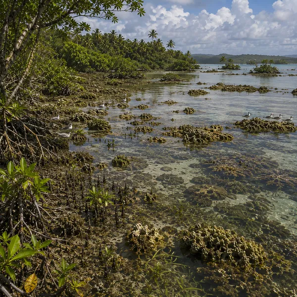 East Melanesia in Upper Paleolithic II