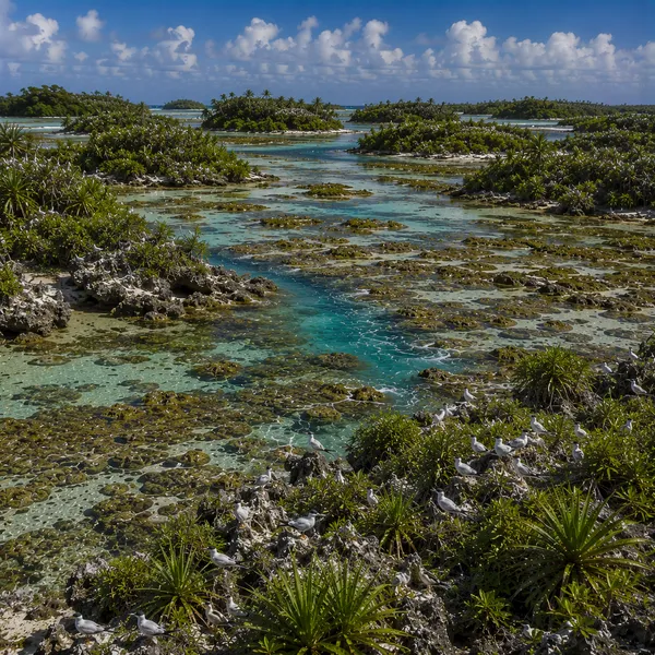 East Micronesia in the Late Holocene