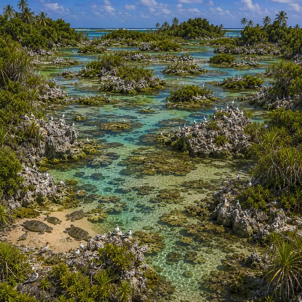 East Micronesia in the Middle Holocene