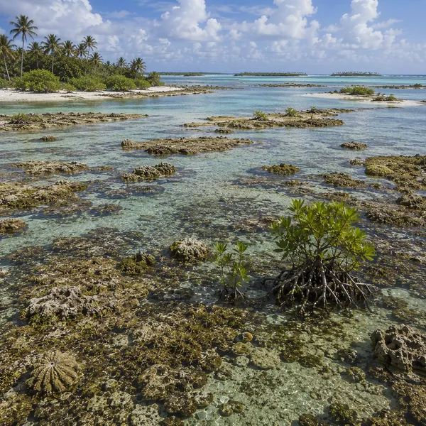 East Micronesia in Upper Paleolithic II