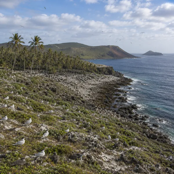 East Polynesia in the Early Holocene