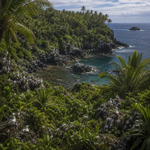 East Polynesia  in the Middle Holocene