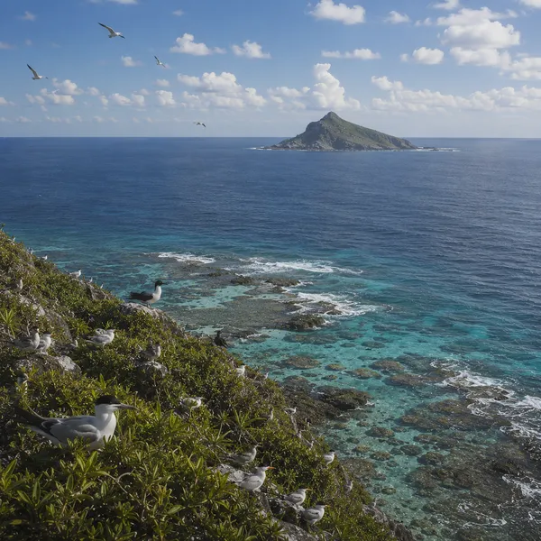East Polynesia in the Upper Pleistocene II