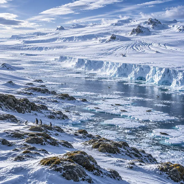 Eastern East Antarcica in Upper Pleistocene II