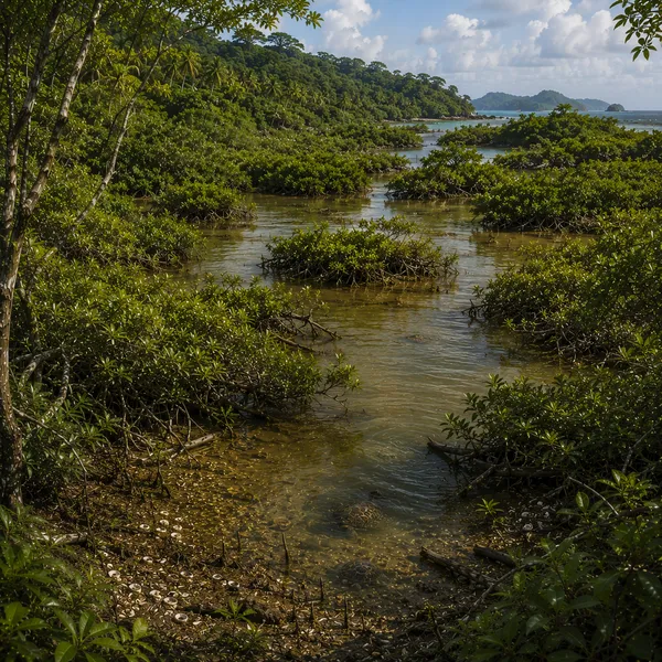 Eastern West Indies in the Early Holocene