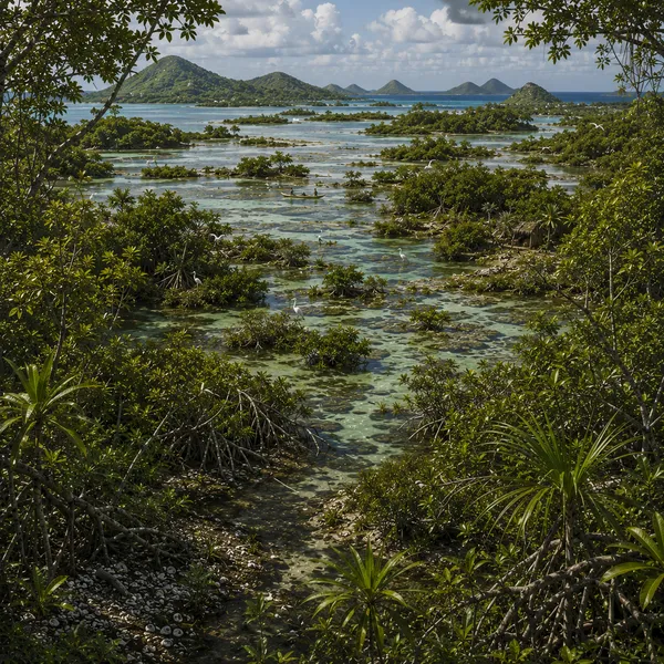 Eastern West Indies in the Late Holocene