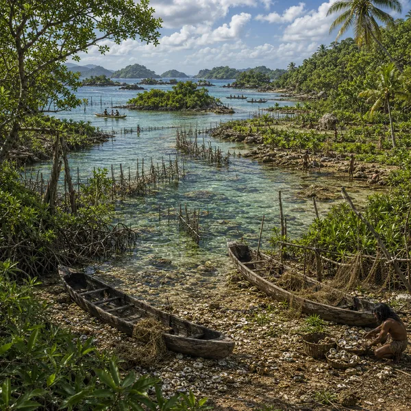 Eastern West Indies in the Middle Holocene