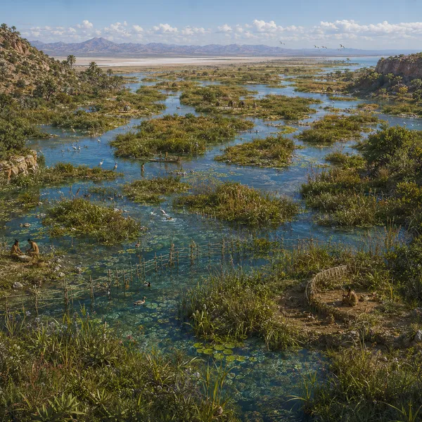 Gulf and Western North America in the Early Holocene