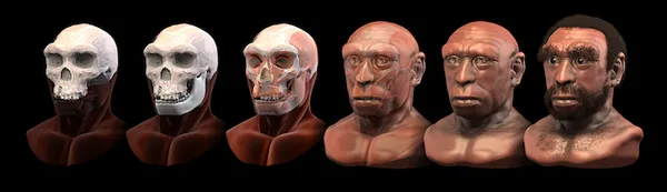 Homo heidelbergensis - forensic facial reconstruction/approximation  4 March 2013, 23:11:14  Author: Cicero Moraes