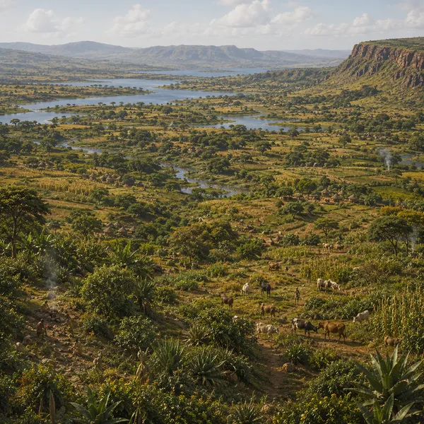 Interior East Africa in Early Antiquity