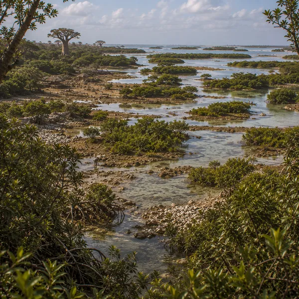 Maritime East Africa in the Late Holocene
