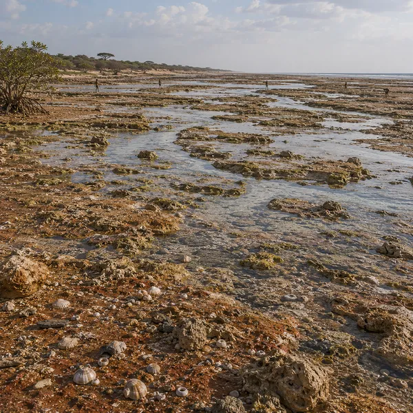 Maritime East Africa in the Upper Paleolithic