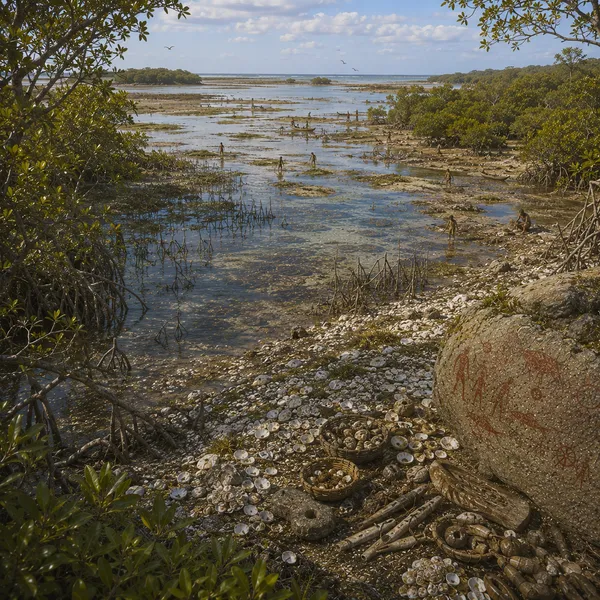 Maritime East Africa in the Upper Paleolithic II