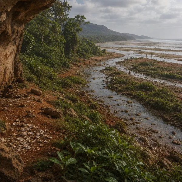 Maritime South Asia in the Upper Paleolithic