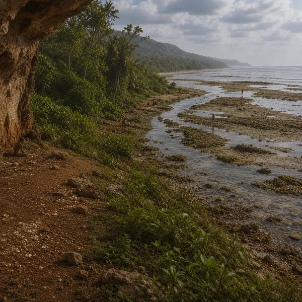Maritime South Asia in the Upper Pleistocene I
