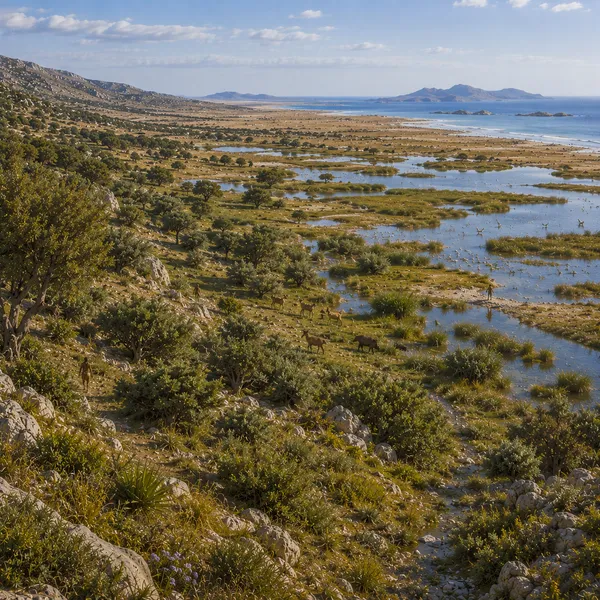 Mediterranean Southwest Europe in the Upper Paleolithic