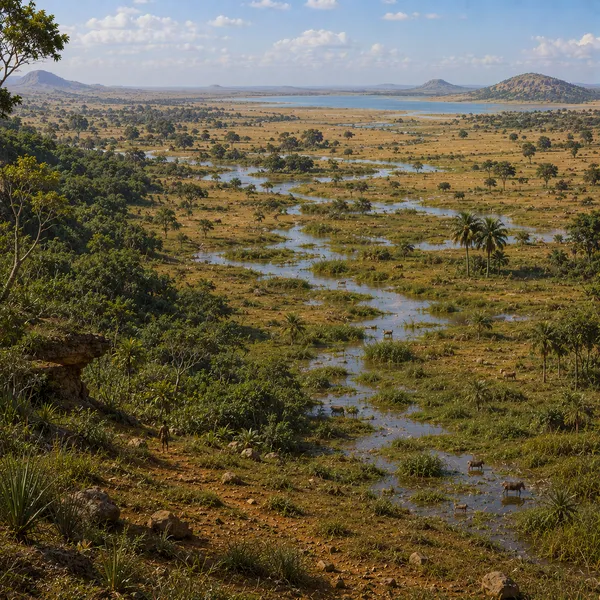 Middle Africa in the Upper Paleolithic