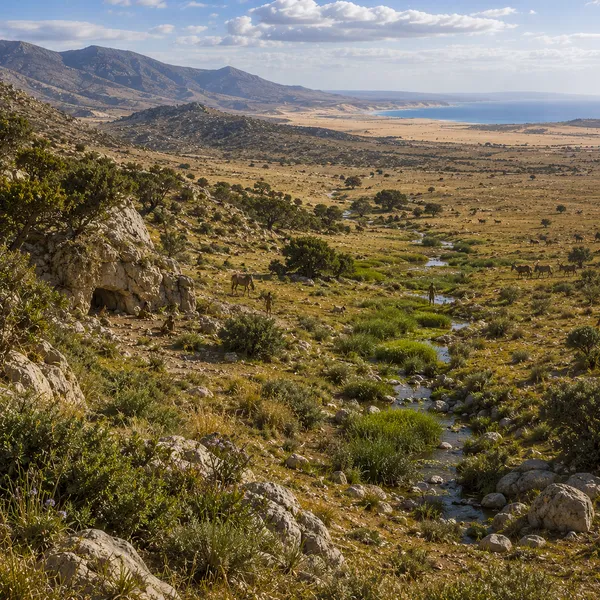 North Africa in the Upper Paleolithic