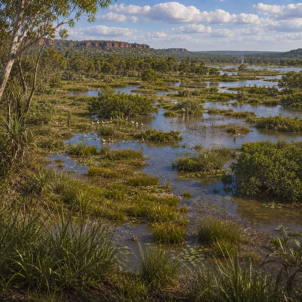 Northern Australia in the Late Holocene