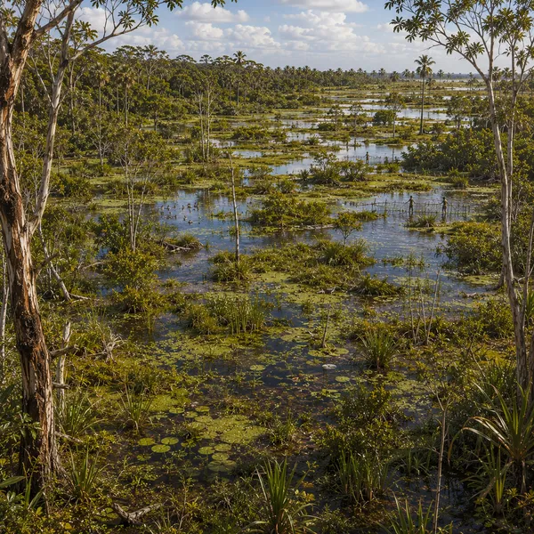 Northern Australia in the Middle Holocene