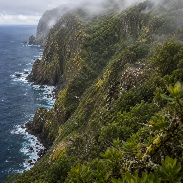 Northern Macronesia in the Upper Pleistocene