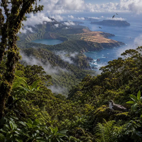 Northern Macronesia in the Upper Pleistocene II