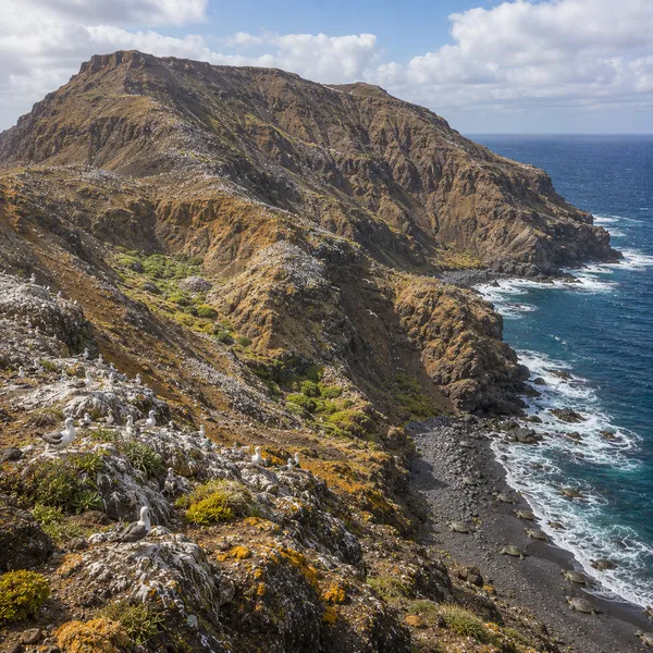 Northern South Atlantic in the Upper Paleolithic