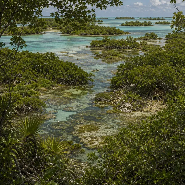 Northern West Indies in the Late Holocene