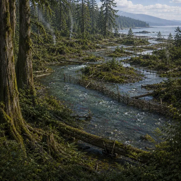 Northwestern North America in Archaic Antiquity