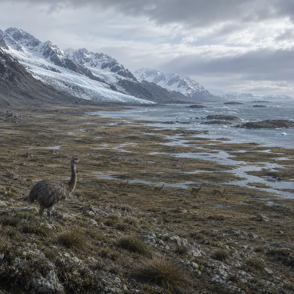 South America Minor in the Upper Paleolithic
