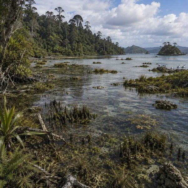 South Polynesia in Upper Pleistocene  II