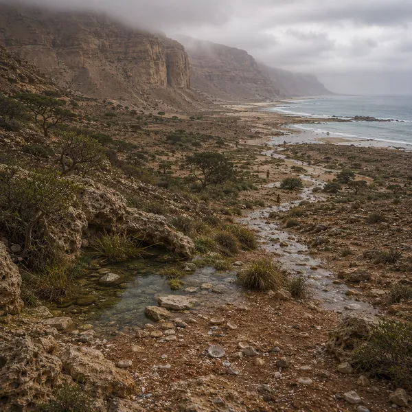 Southeast Arabia in the Upper Paleolithic