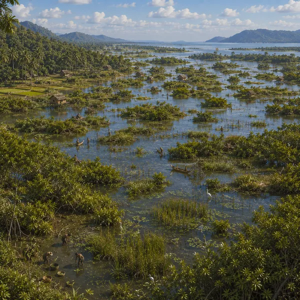 Southeastern Asia in the Late Holocene