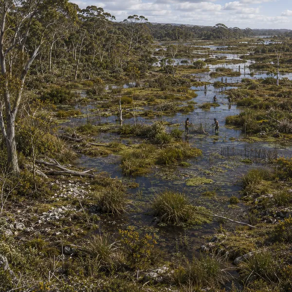 Southern Australasia in the Middle Holocene