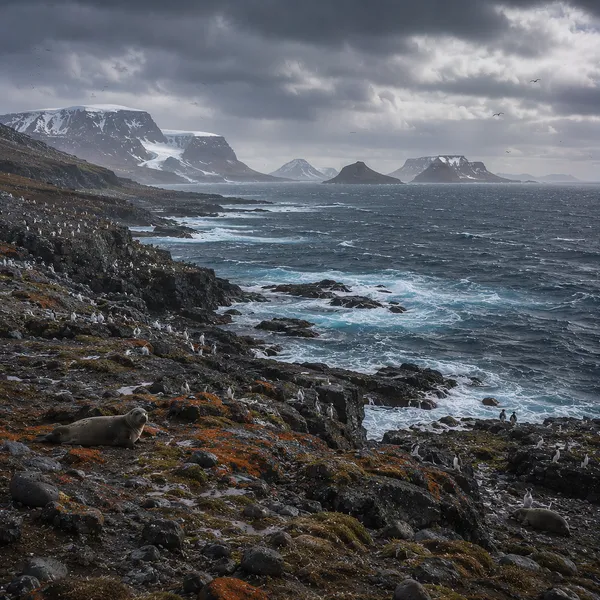 Southwest Indian Ocean in the Upper Paleolithic