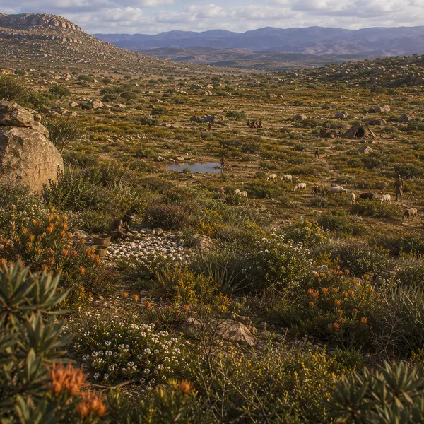 Temperate Southern Africa in the late Holocene