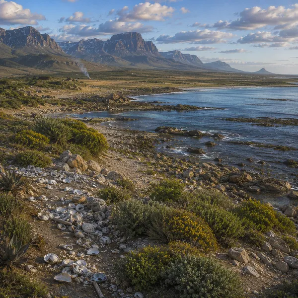 Temperate Southern Africa in the Upper Paleolithic II