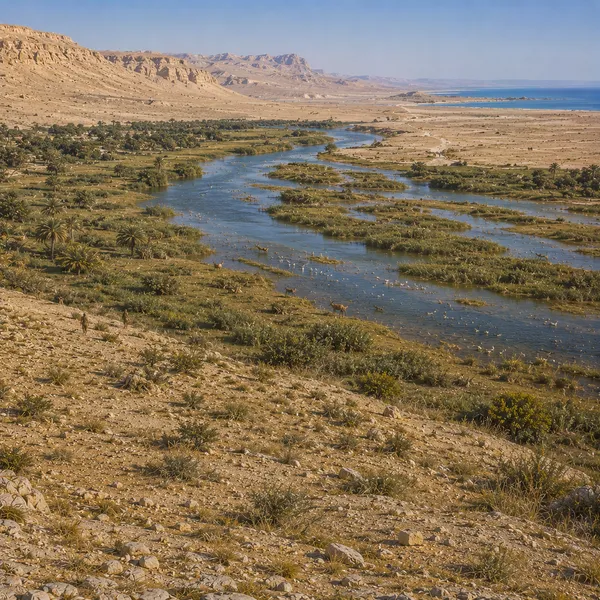 The Near East in the Upper Paleolithic