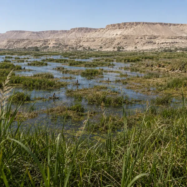 The Near East in the Upper Paleolithic II