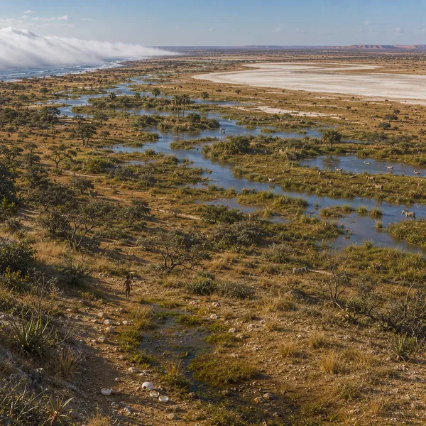 Tropical West Southern Africa in the Upper Paleolithic