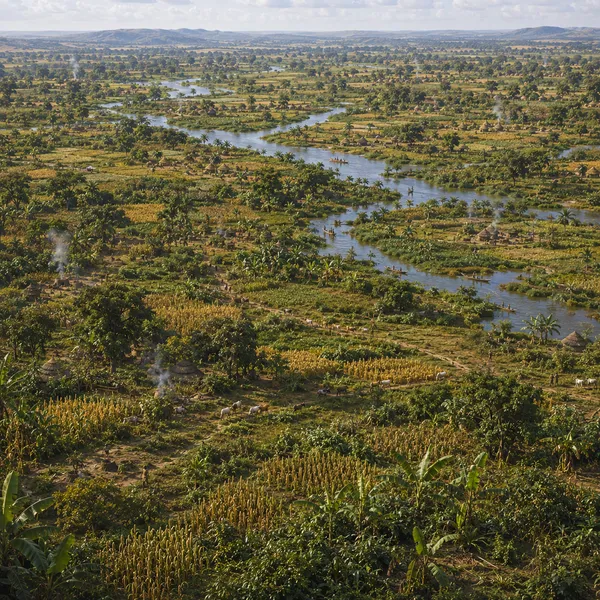 West Africa in Early Antiquity