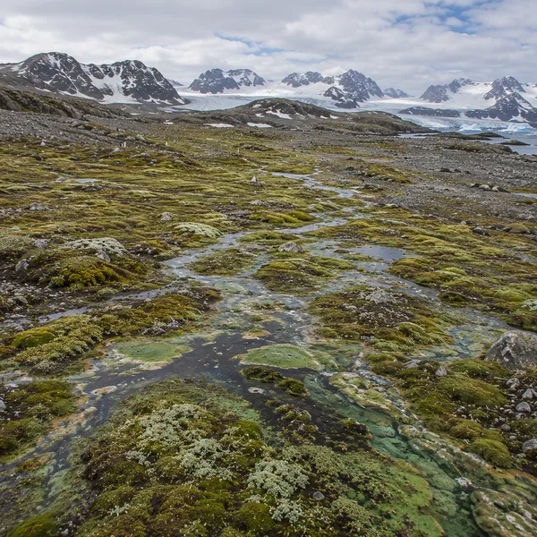 West Antarctica in the Late Holocene